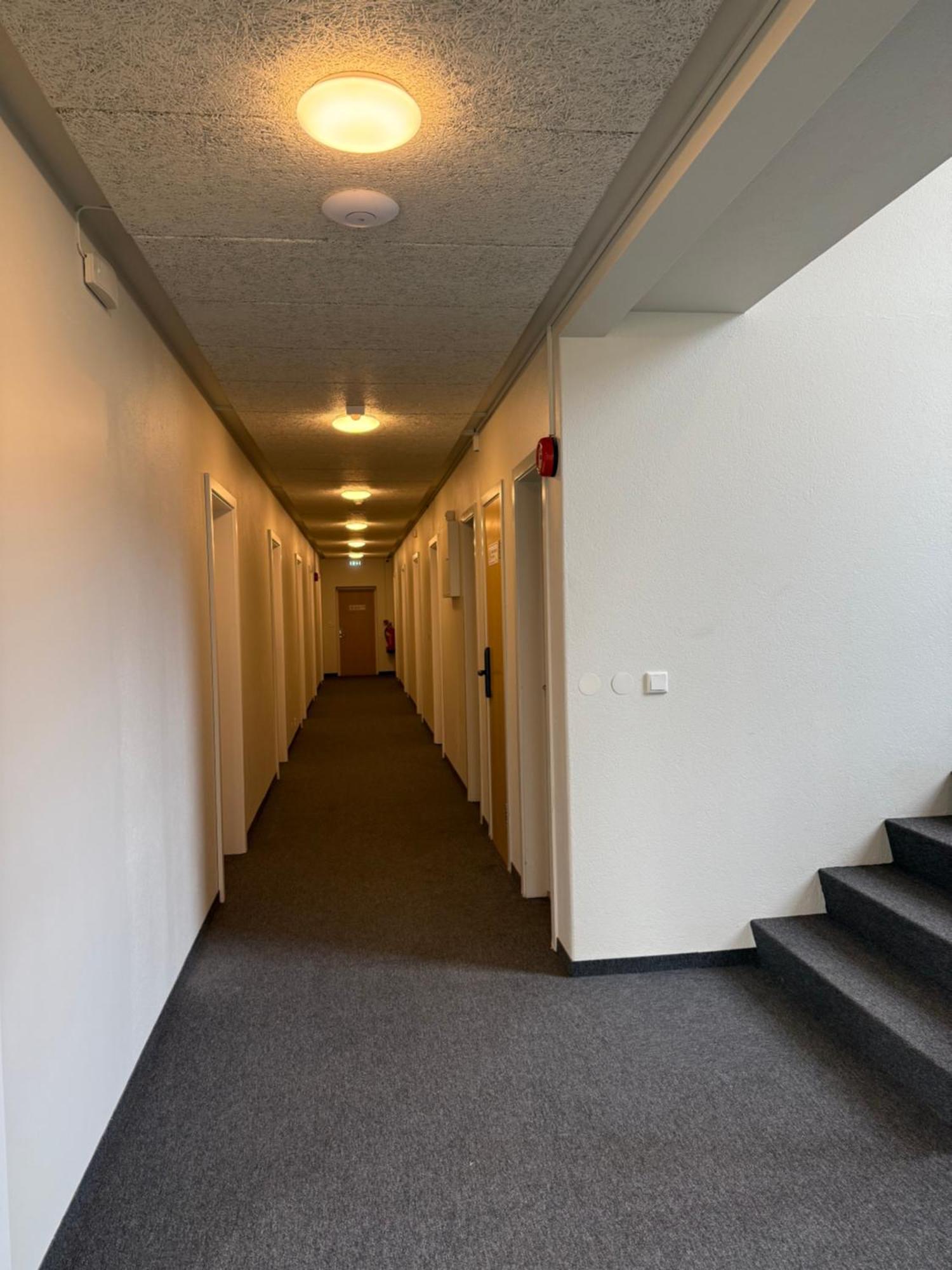 Skogar Hostel エクステリア 写真